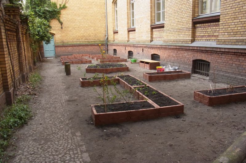erste Pflanzen 1