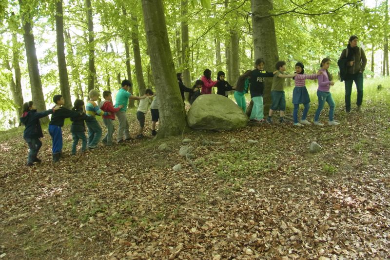 im Wald